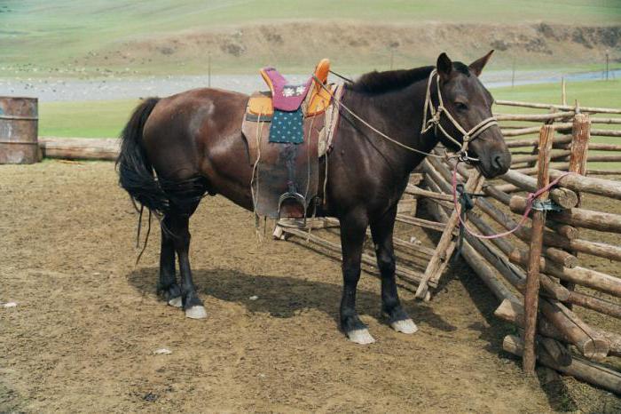 как завязать узел 