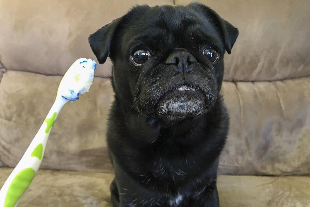 Teeth cleaning