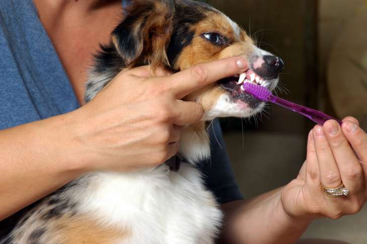 Teeth cleaning