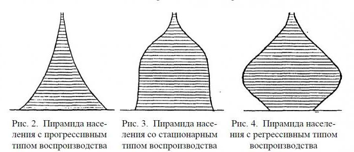 половозрастная пирамида населения россии