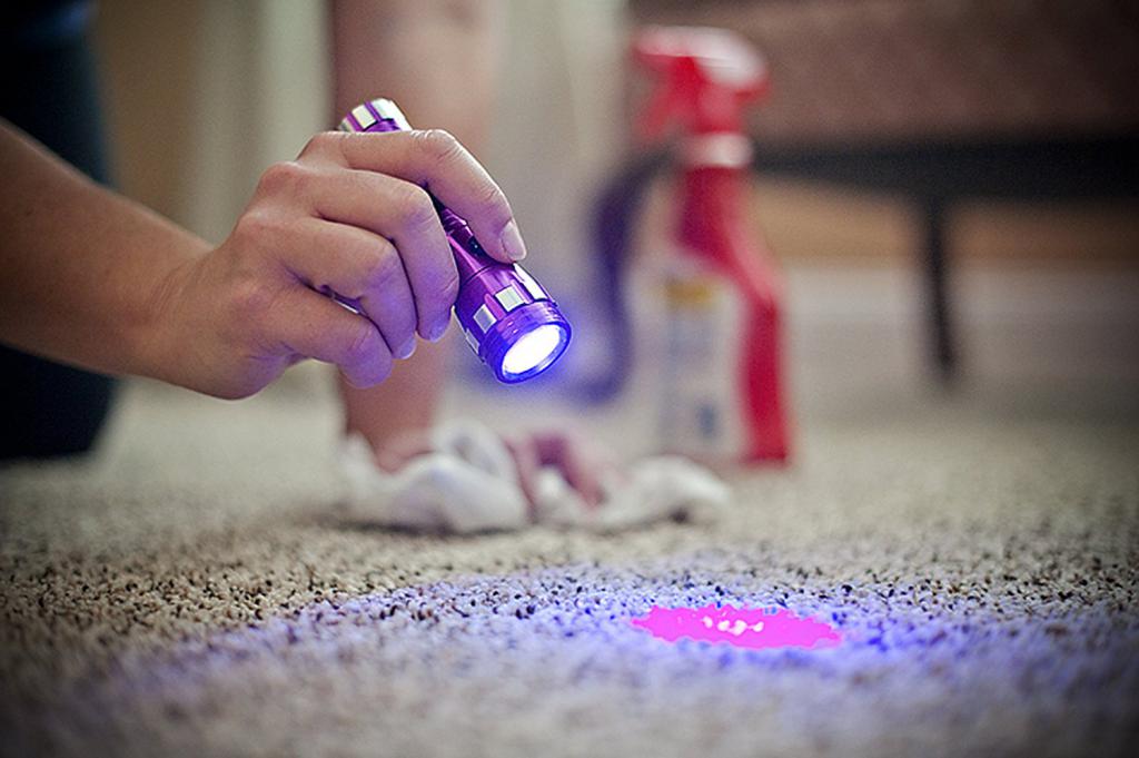 ультрафиолетовый фонарик для проверки денег