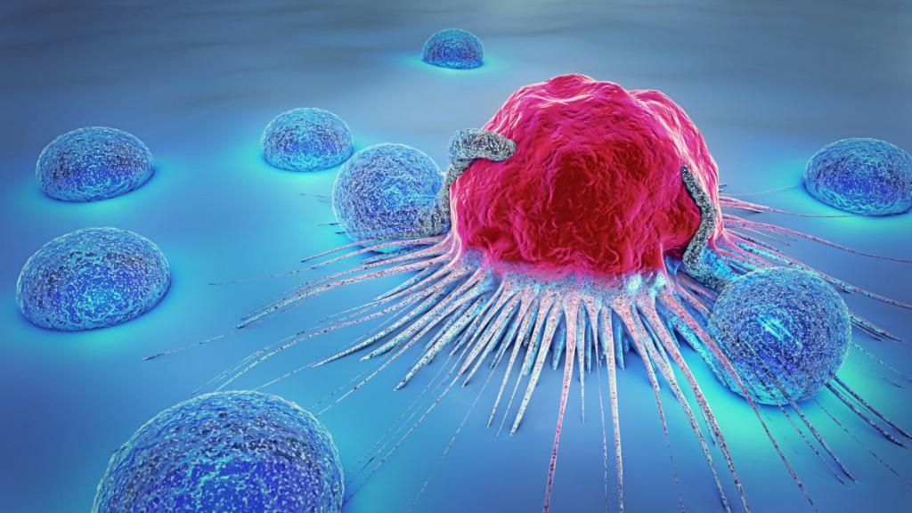 теории канцерогенеза опухолей