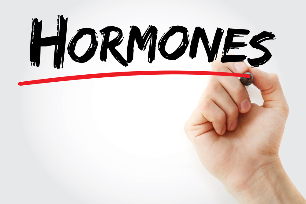 действие белковых гормонов