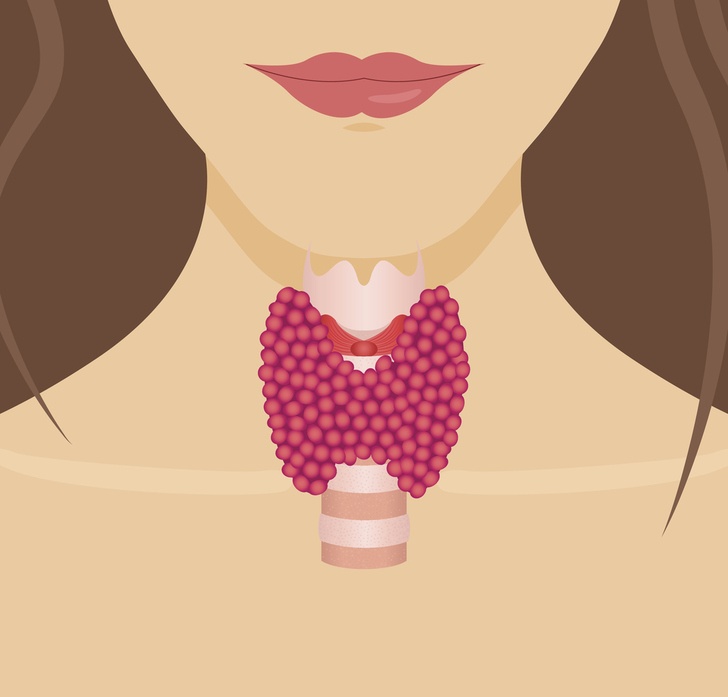 норма анализов на гормоны щитовидной железы у женщин свободный тироксин
