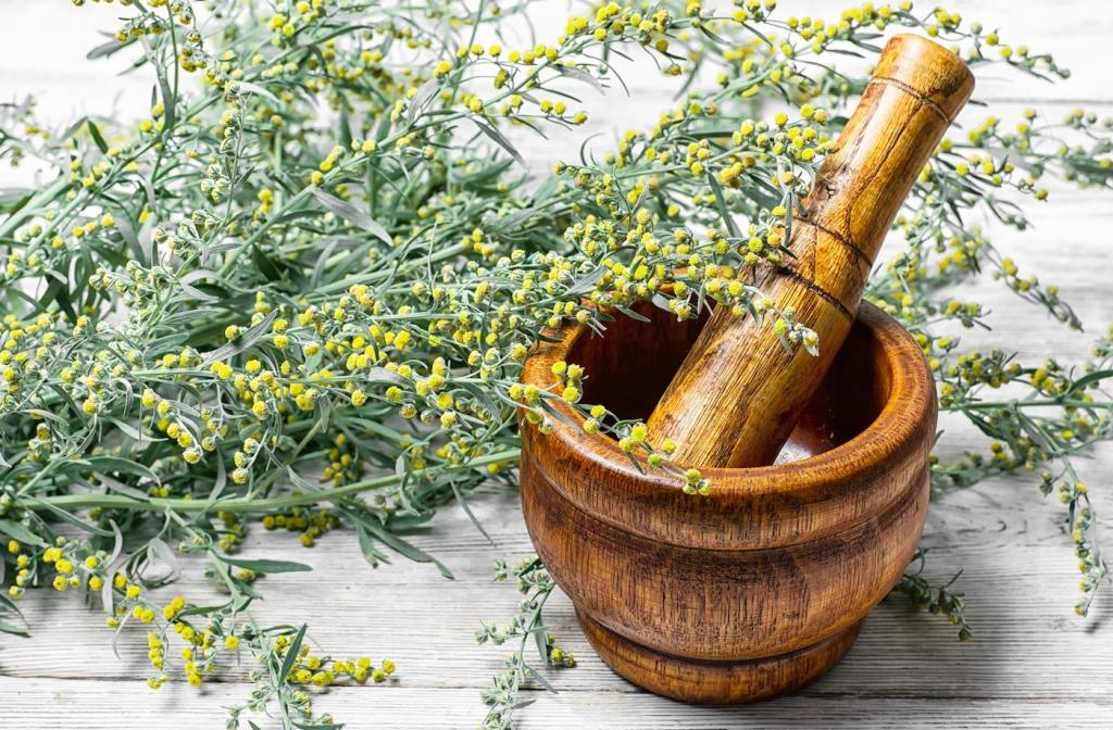 wormwood extract