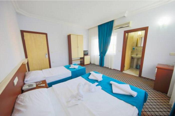 asel resort hotel 4 reviews