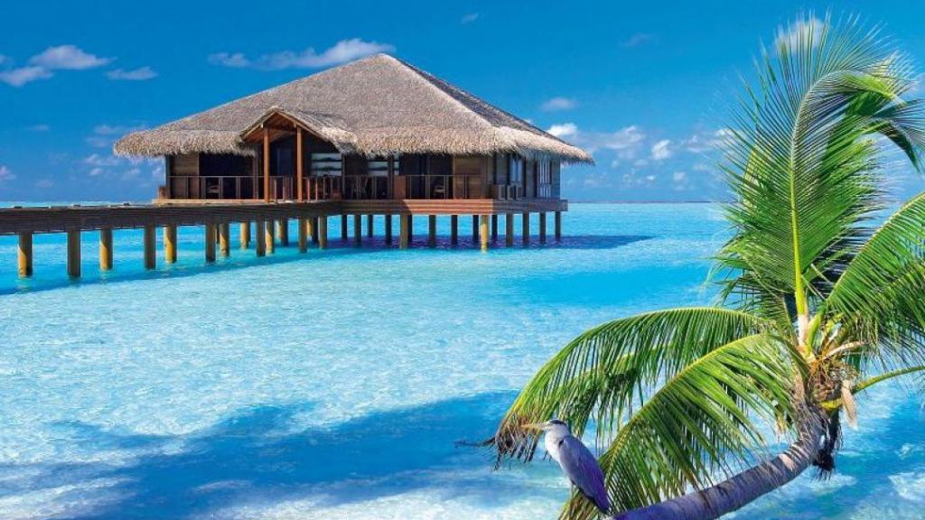 Сезон на Мальдивах когда лучше отдыхать