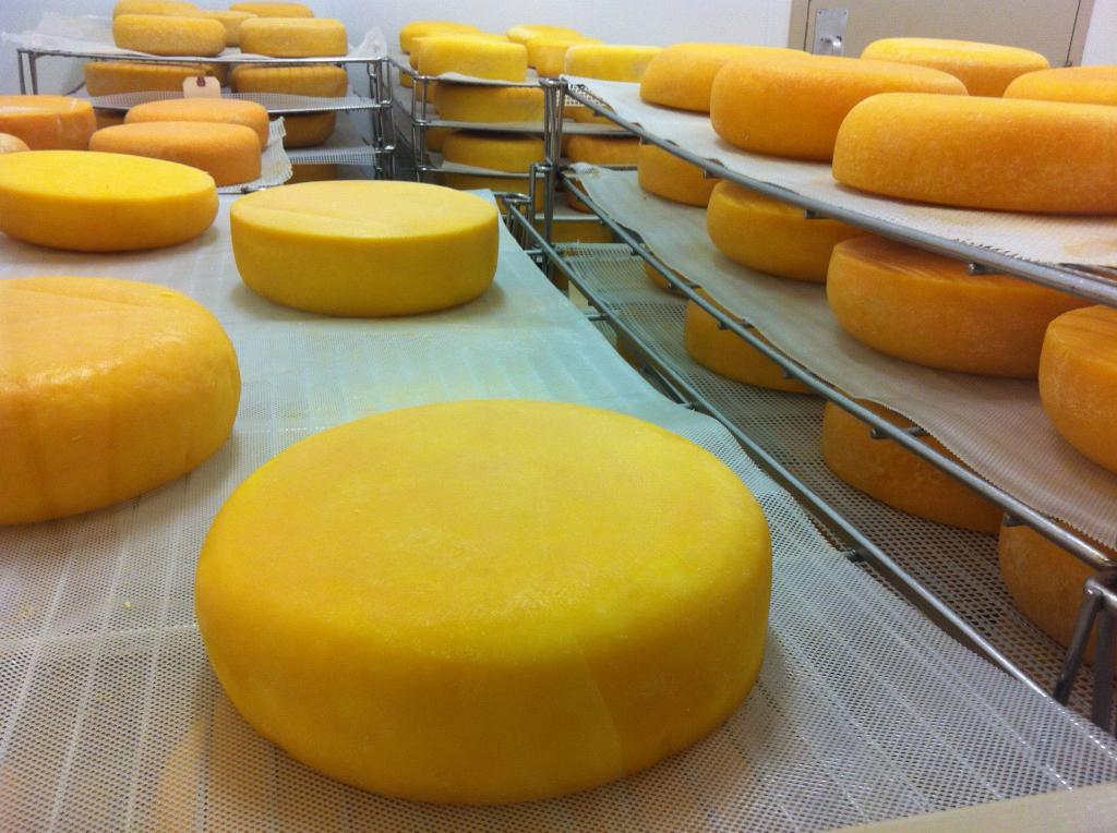 Производители хорошего сыра. Сыр самый крутой. Поставщик сыра. Созревание сыра. Сыр компании.
