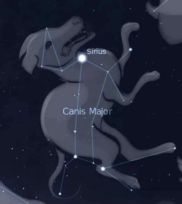 Звезда сириус фото на небе в созвездии большого пса
