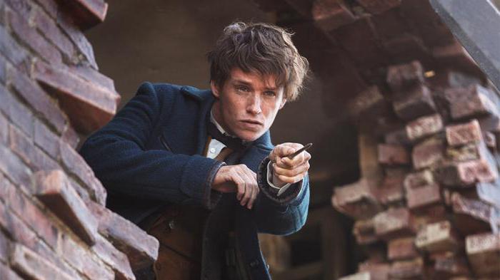 fantastic beasts and where to find them