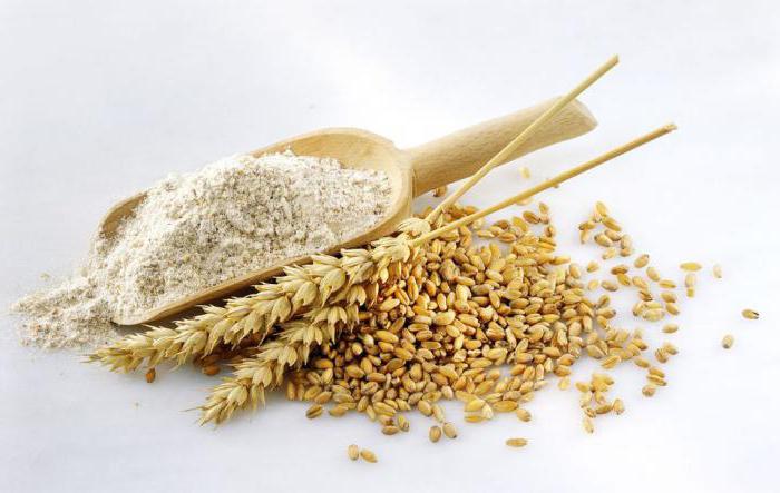 виды зерна пшеницы