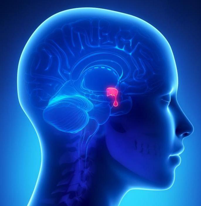 pituitary disease