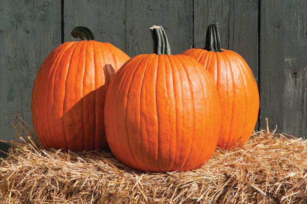 pumpkin for prostate adenoma