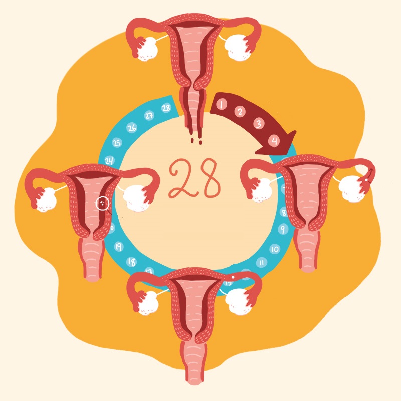 Причины нарушения менструационного цикла после 40