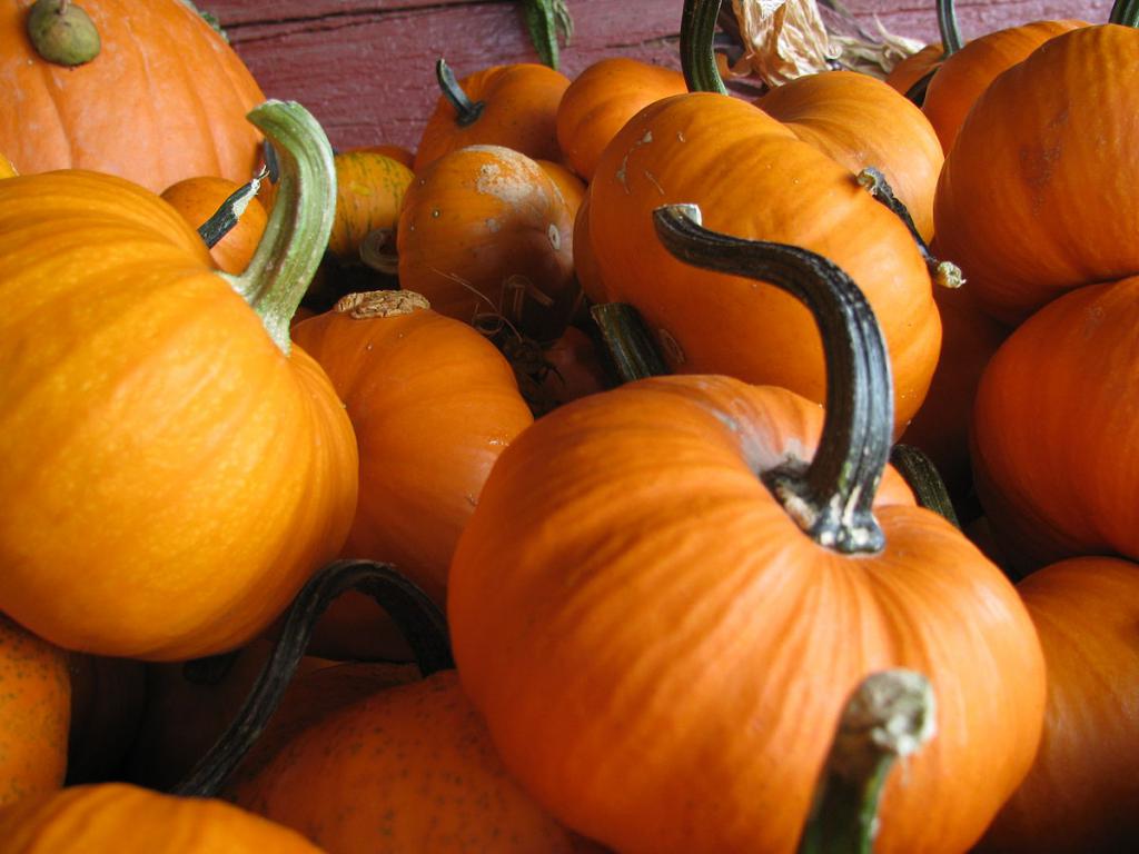 pumpkin benefits and harm to the body