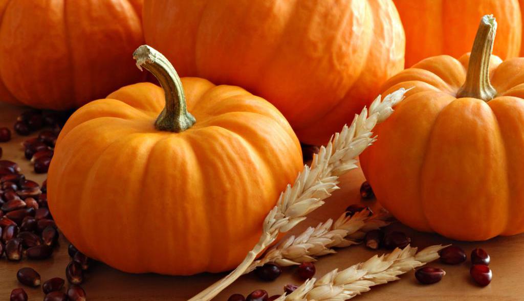 pumpkin oil benefits and harm how to take