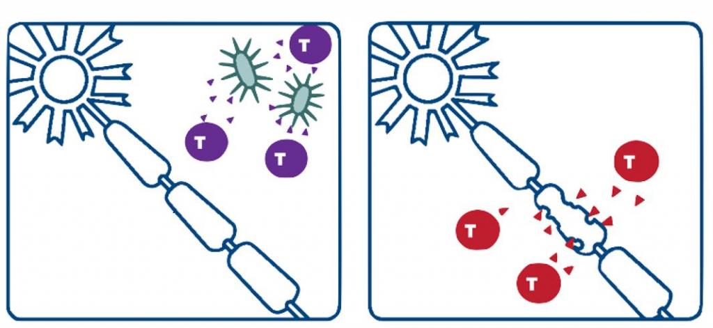 copaxone 40 instructions for use