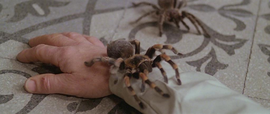 фильм ужастик про пауков