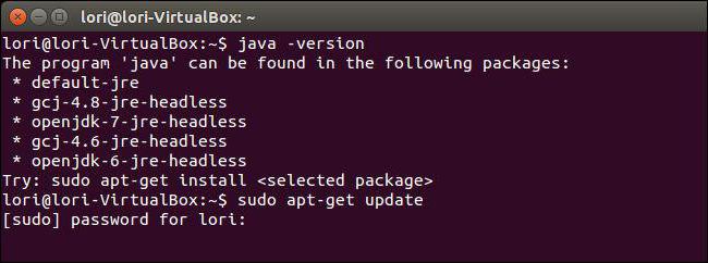 how to update java version