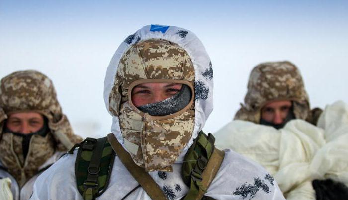 арктические войска россии фото