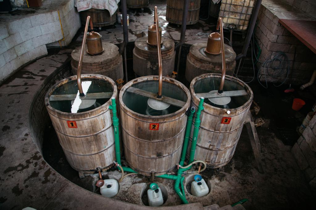 Tequila production