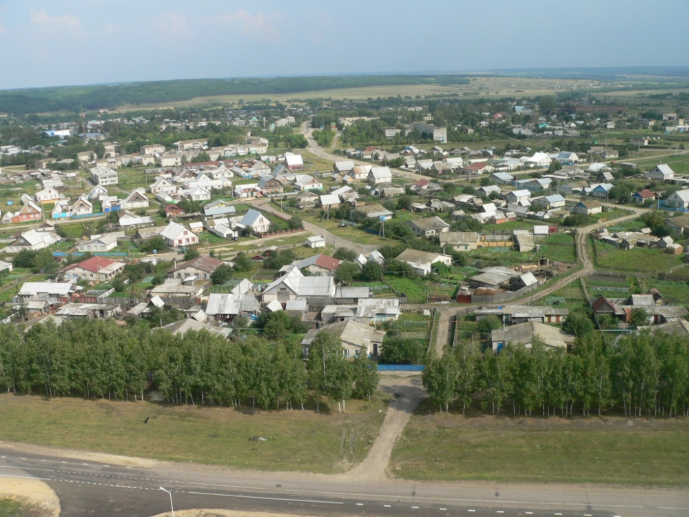 Лопатинский район село