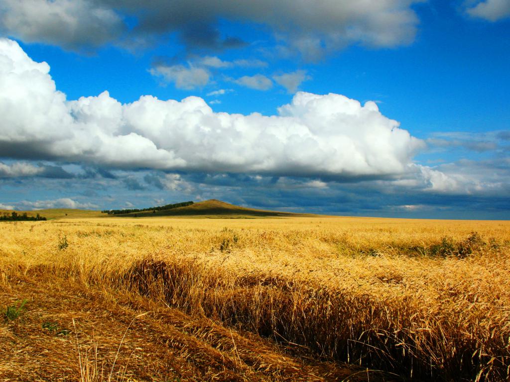 Turgai region, Kazakhstan