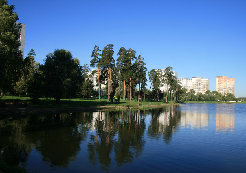 Школьное озеро в зеленограде