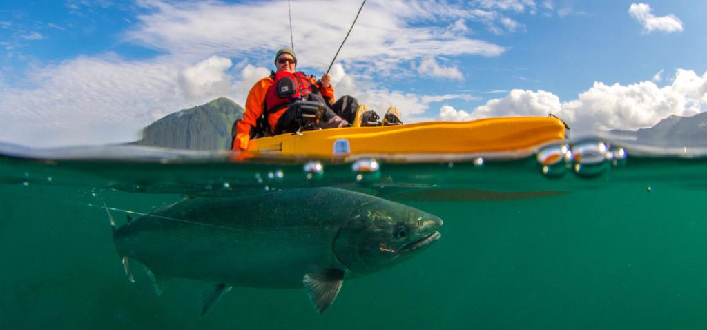 alaska trout