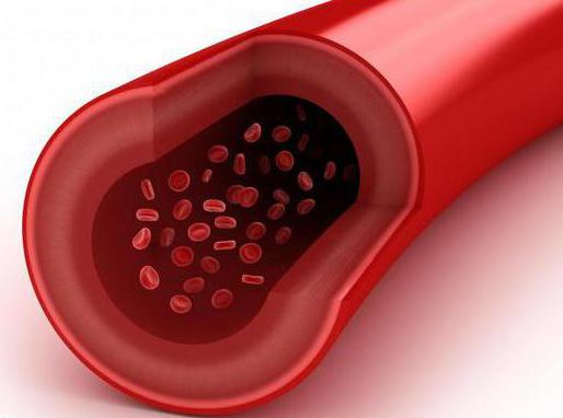 Как сдать анализ крови на глюкозу и холестерин thumbnail
