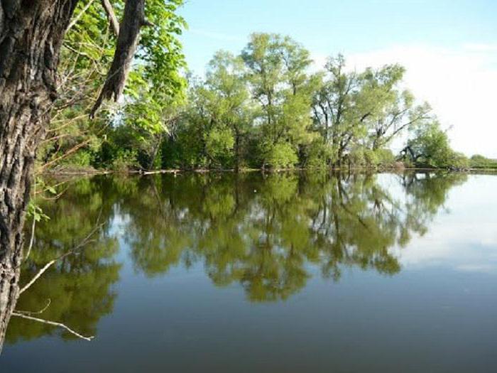 кутулукское водохранилище отдых