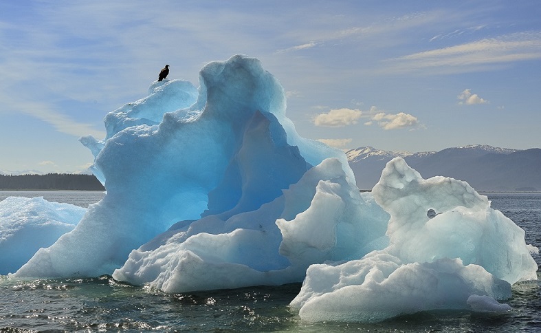 ледники в заливе