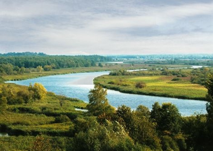 Река преголя калининградская область фото