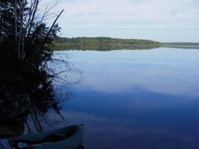 вышневолоцкое водохранилище отдых