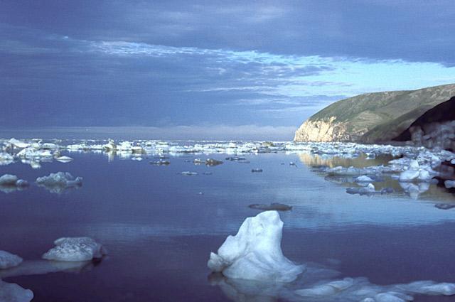 salinity of the Chukchi Sea as a percentage