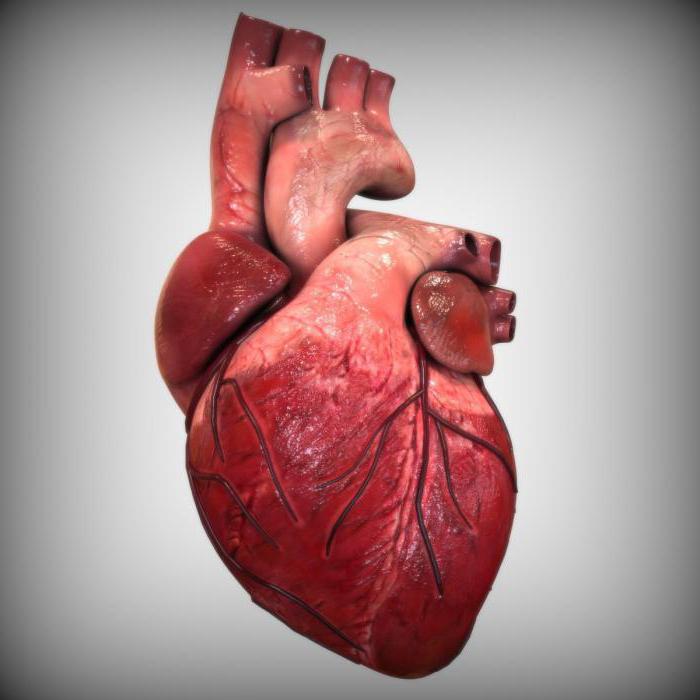 пролапс сердечного клапана