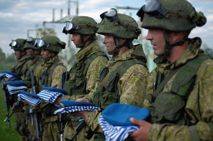 cornflower blue berets