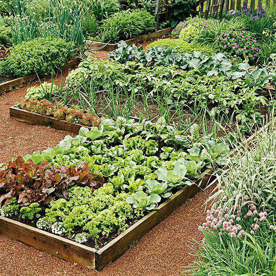 how to plan a garden