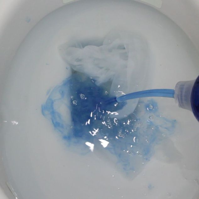 cleaning the toilet with chemicals