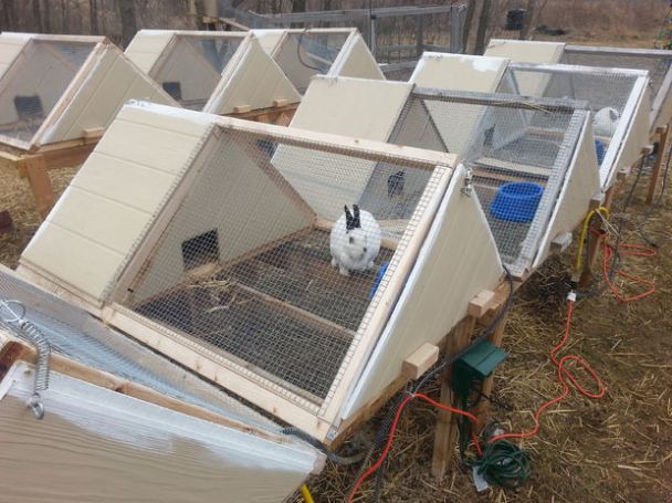 Сарай для кроликов – строим гостиницу для пушистых