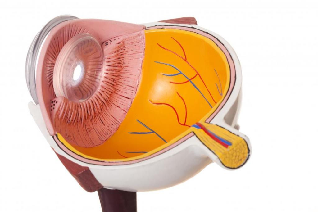 болезнь глаз хориоретинит
