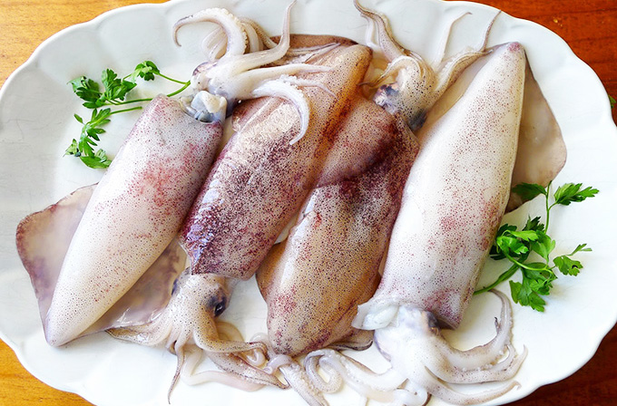 the benefits of boiled squid