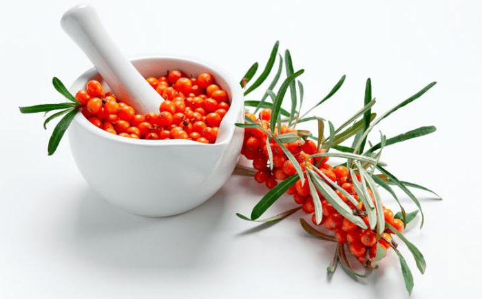 The benefits of sea buckthorn for the human body
