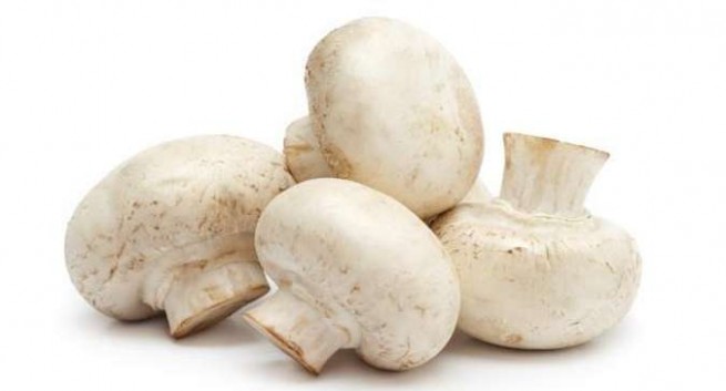 Is it possible for nursing mother champignons