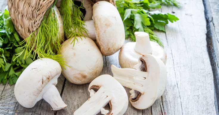 Features of the use of mushrooms during breastfeeding