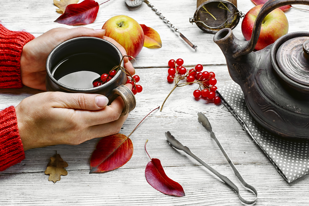 Guelder-rose how to make and how to drink