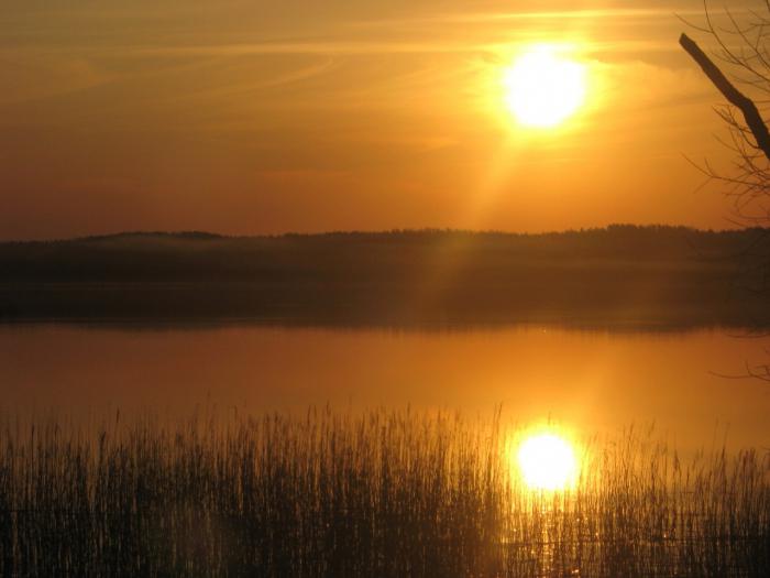 Berezinsky reserve photo