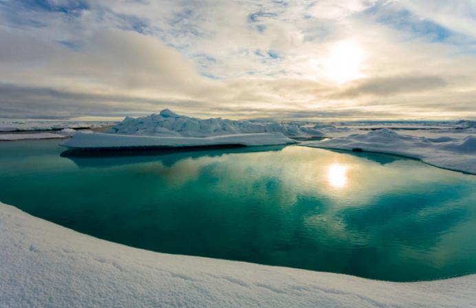 как меняется природа арктических морей 