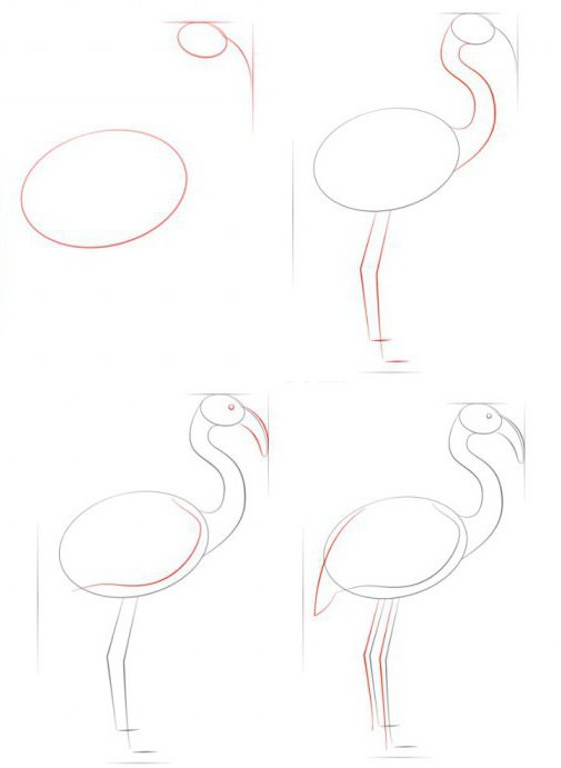 как нарисовать фламинго поэтапно