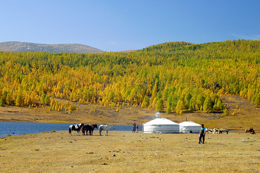 Монгольские пастухи